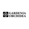 Gardenia Orchidea