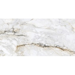 Πλακάκι CR. PISA GOLD 60x120 Λευκό Γυαλιστερό Πλακάκι CR. PISA GOLD 60x120 Λευκό Γυαλιστερό