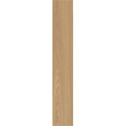 Πλακάκι Mother Mirra6 SL 2012 20Χ120 Imola