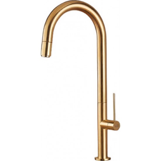 Μπαταρία Κουζίνας με ντους Armando Vicario Tozo 48780-201 Gold Brushed Μπαταρία Κουζίνας με ντους Armando Vicario Tozo 48780-201 Gold Brushed