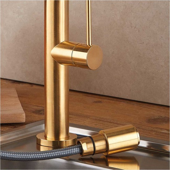 Μπαταρία Κουζίνας με ντους Armando Vicario Tozo 48780-201 Gold Brushed Μπαταρία Κουζίνας με ντους Armando Vicario Tozo 48780-201 Gold Brushed