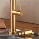 Μπαταρία Κουζίνας με ντους Armando Vicario Tozo 48780-201 Gold Brushed Μπαταρία Κουζίνας με ντους Armando Vicario Tozo 48780-201 Gold Brushed