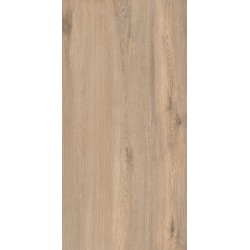 Πλακάκι Chateau Brown 60Χ120 6131 Καφέ Ματ