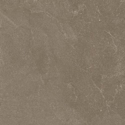Πλακάκι Stoneline 60Χ60 Rettificato Ceramica Fiore 9825 Καφέ Ματ