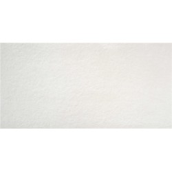 Πλακάκι Public White Rect 60x120 Ματ Λευκό 