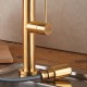 Μπαταρία κουζίνας με ντους Armando Vicario Tozo 48580-201 Gold Brushed Μπαταρία κουζίνας με ντους Armando Vicario Tozo 48580-201 Gold Brushed