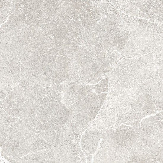 Πλακάκι Pisa Silver 60x60 Retificatto Ανοιχτό Γκρι Πλακάκι Pisa Silver 60x60 Retificatto Ανοιχτό Γκρι