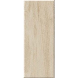 Πλακάκι Μπάνιου Lucia Light  4924 20Χ50