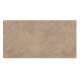 Πλακάκι Μπάνιου Bremen 4207 Moka 40x80 cm 