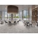 Πλακάκι Canyon Grigio (Gris Poliert) 60Χ60 Μάρμαρο Γυαλιστερό Γκρι Πλακάκι Canyon Grigio (Gris Poliert) 60Χ60 Μάρμαρο Γυαλιστερό Γκρι