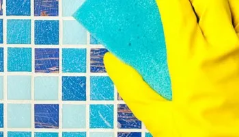 Καθαριστικά