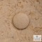 Κάλυμμα Βαλβίδας Νιπτήρα Fossil Beige TPM01-500