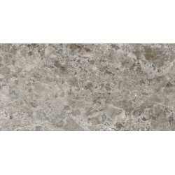 Πλακάκι Iseo Gris Pulido 60x120 Γκρι Γυαλιστερό