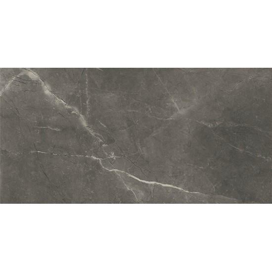 Πλακάκι Bayona Grey Pulido 60Χ120 Γυαλιστερό Μαρμαριζέ Πλακάκι Bayona Grey Pulido 60Χ120 Γυαλιστερό Μαρμαριζέ