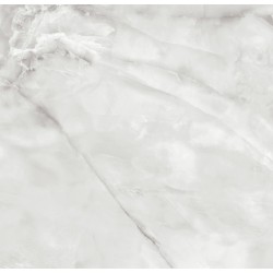 Πλακάκι Potomac Gris Pulido Α' 100x100 Γκρι Μαρμαριζέ Γυαλιστερό