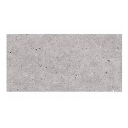 Πλακάκι Basel Gris 30x60R Γκρι Ματ 